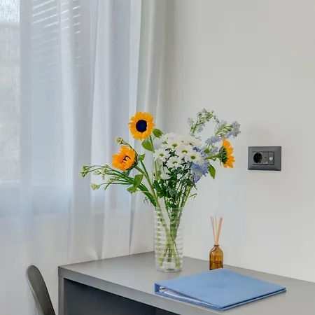 Lichia Amia Luxury * Split