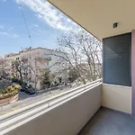 Lichia Amia Luxury * Split